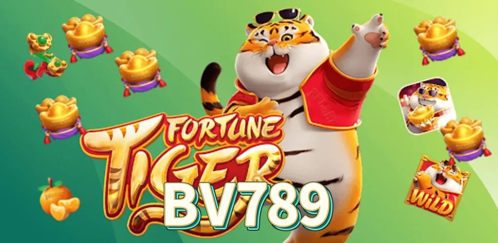 BV789 - Tempos de saque PIX verificados e estatísticas de pagamento